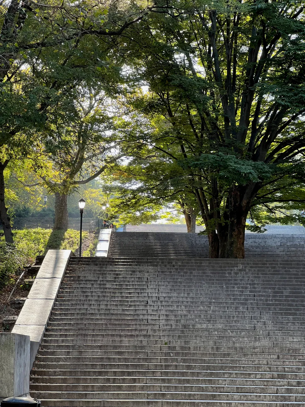 Stairs entering Fork Greene Park