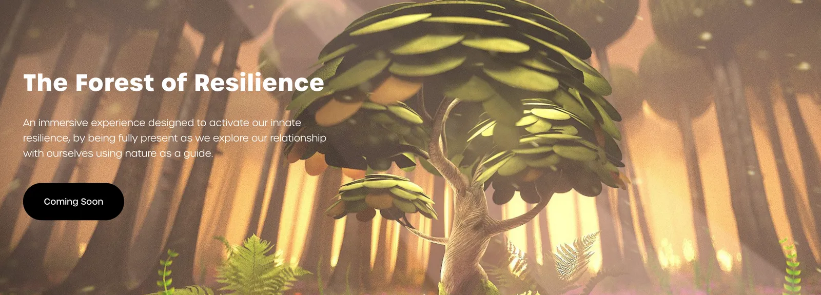 The Forest of Resilience